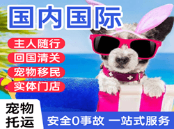 莫力达瓦旗国际宠物托运 【国